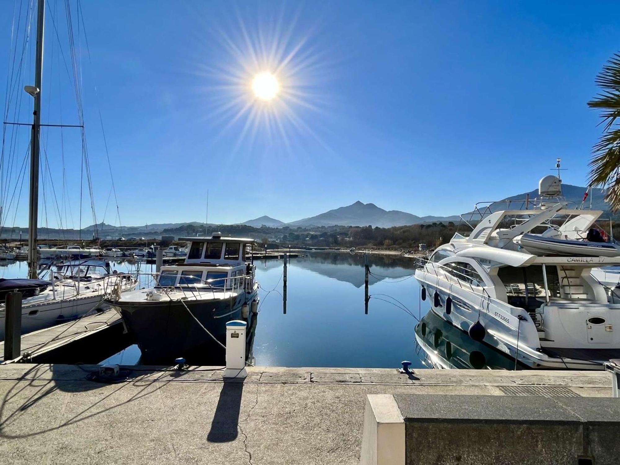 Studio Cabine Avec Terrasse 4 Pers, Acces Direct Plage, Tv, Animaux Admis - Argeles-Sur-Mer - Fr-1-225-798 Екстер'єр фото